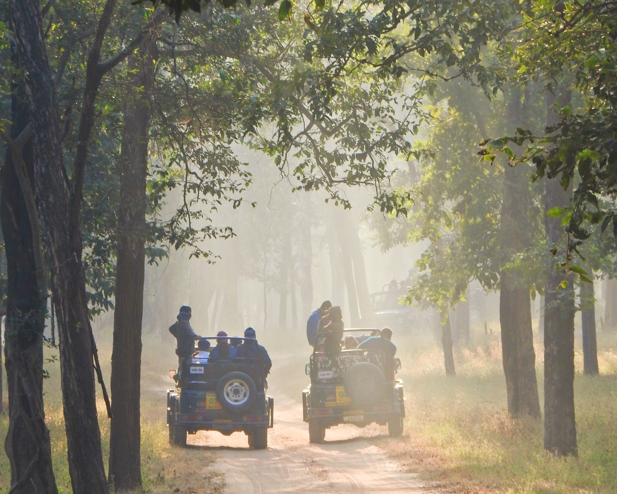 Kanha National Park