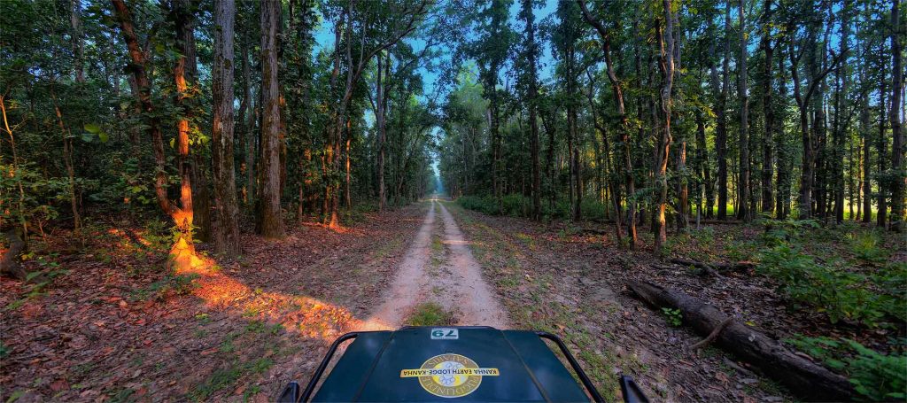 jeep safari in kanha