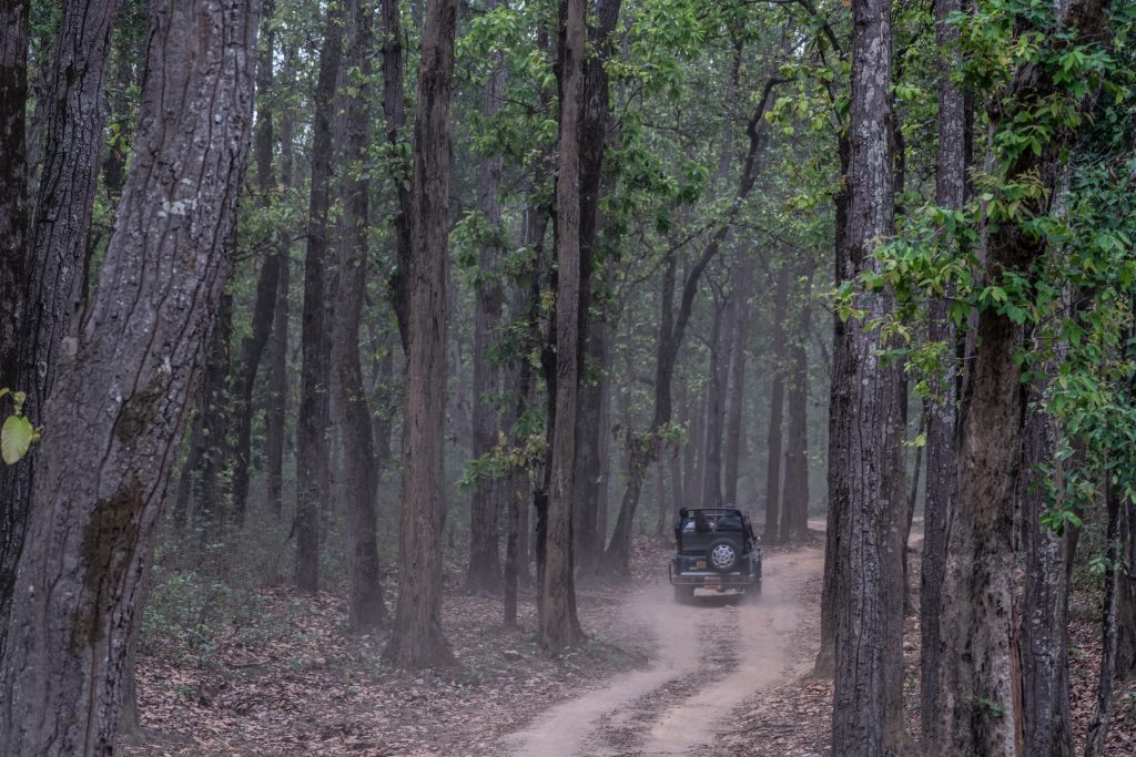 kanha national park