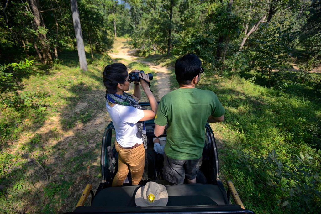 Khatiya Trail in Kanha National Park