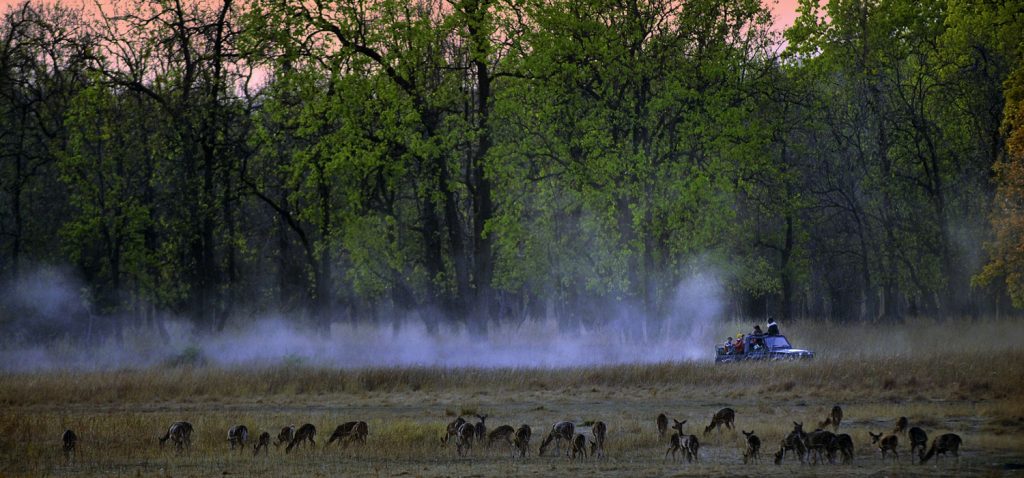 Kanha National Park