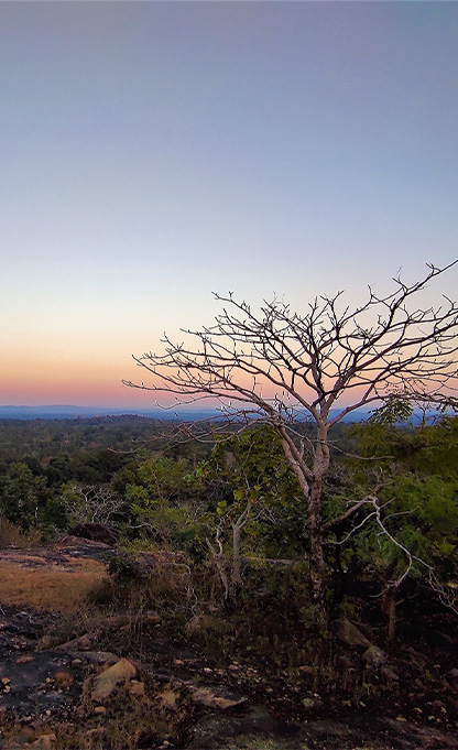 Sunset view in Kanha